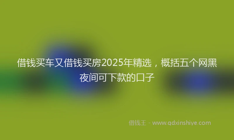 借钱买车又借钱买房2025年精选，概括五个网黑夜间可下款的口子