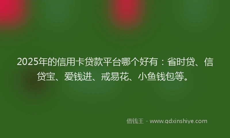 2025年的信用卡贷款平台哪个好有：省时贷、信贷宝、爱钱进、戒易花、小鱼钱包等。
