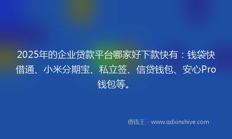 2025年的企业贷款平台哪家好下款快有：钱袋快借通、小米分期宝、私立签、信贷钱包、安心Pro钱包等。