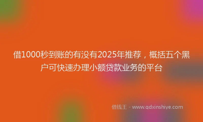 借1000秒到账的有没有2025年推荐，概括五个黑户可快速办理小额贷款业务的平台