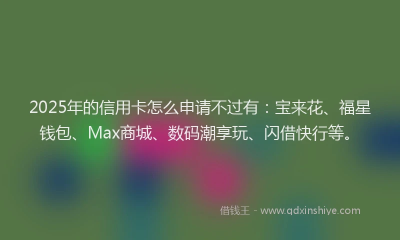 2025年的信用卡怎么申请不过有：宝来花、福星钱包、Max商城、数码潮享玩、闪借快行等。