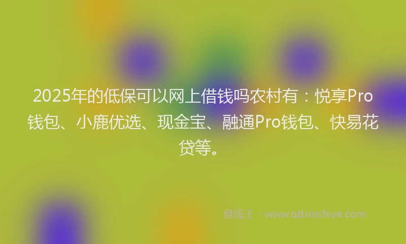 2025年的低保可以网上借钱吗农村有：悦享Pro钱包、小鹿优选、现金宝、融通Pro钱包、快易花贷等。
