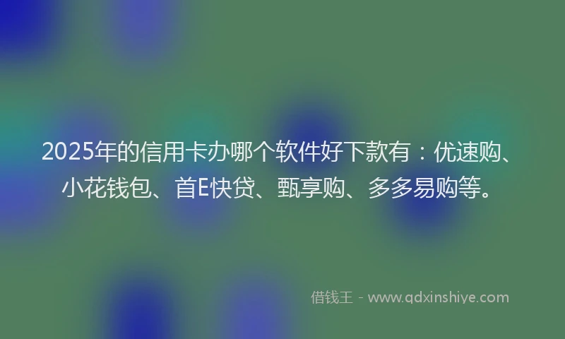 2025年的信用卡办哪个软件好下款有：优速购、小花钱包、首E快贷、甄享购、多多易购等。