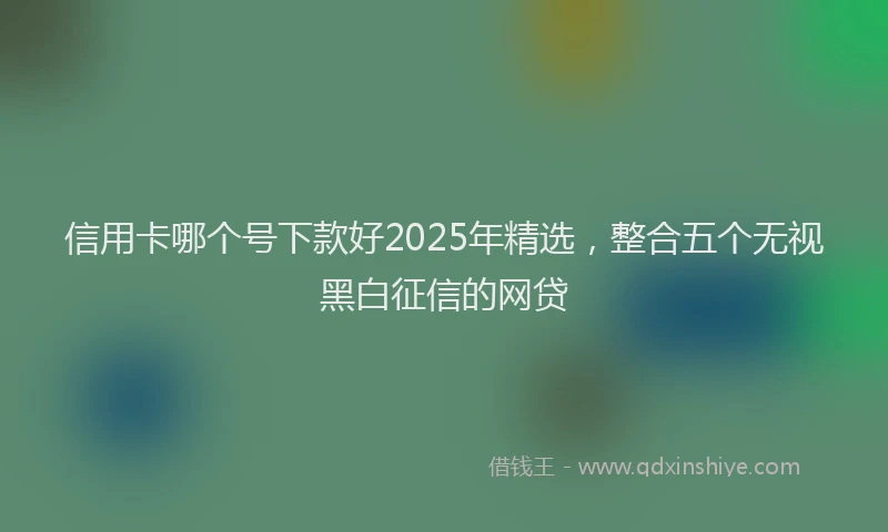 信用卡哪个号下款好2025年精选，整合五个无视黑白征信的网贷