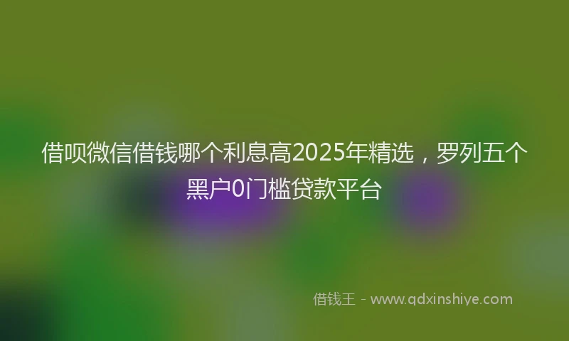 借呗微信借钱哪个利息高2025年精选，罗列五个黑户0门槛贷款平台