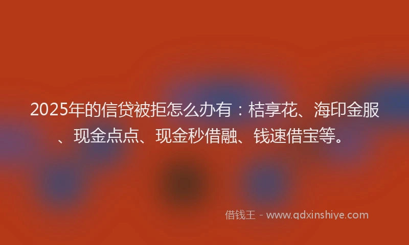 2025年的信贷被拒怎么办有：桔享花、海印金服、现金点点、现金秒借融、钱速借宝等。