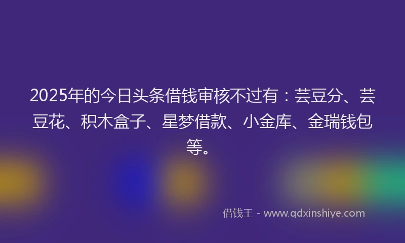 2025年的今日头条借钱审核不过有：芸豆分、芸豆花、积木盒子、星梦借款、小金库、金瑞钱包等。