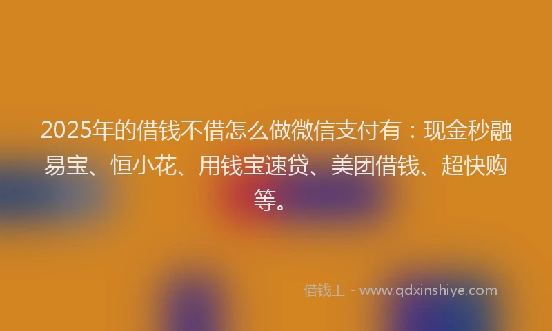 2025年的借钱不借怎么做微信支付有：现金秒融易宝、恒小花、用钱宝速贷、美团借钱、超快购等。