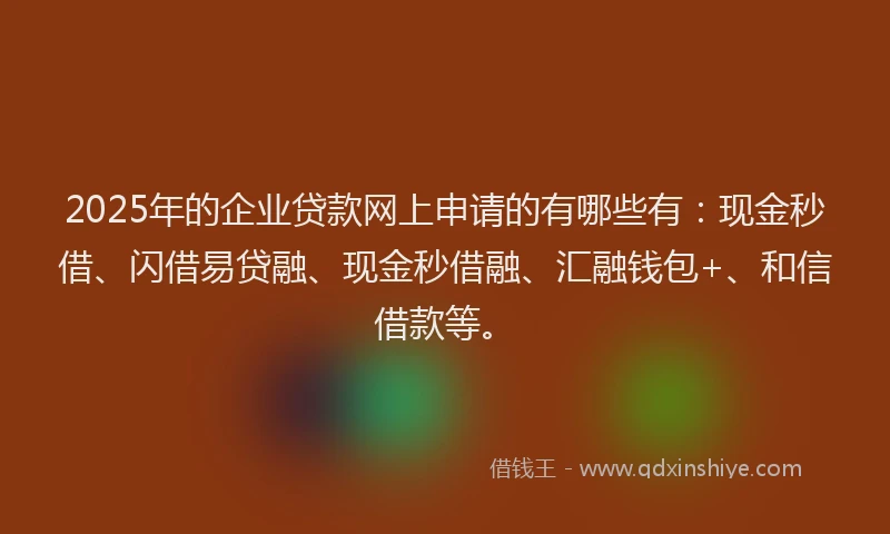 2025年的企业贷款网上申请的有哪些有：现金秒借、闪借易贷融、现金秒借融、汇融钱包+、和信借款等。