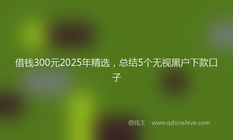 借钱300元2025年精选，总结5个无视黑户下款口子
