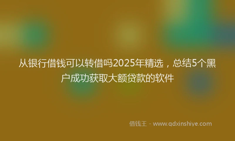 从银行借钱可以转借吗2025年精选，总结5个黑户成功获取大额贷款的软件