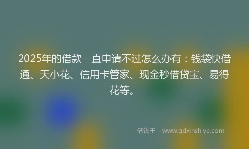 2025年的借款一直申请不过怎么办有：钱袋快借通、天小花、信用卡管家、现金秒借贷宝、易得花等。