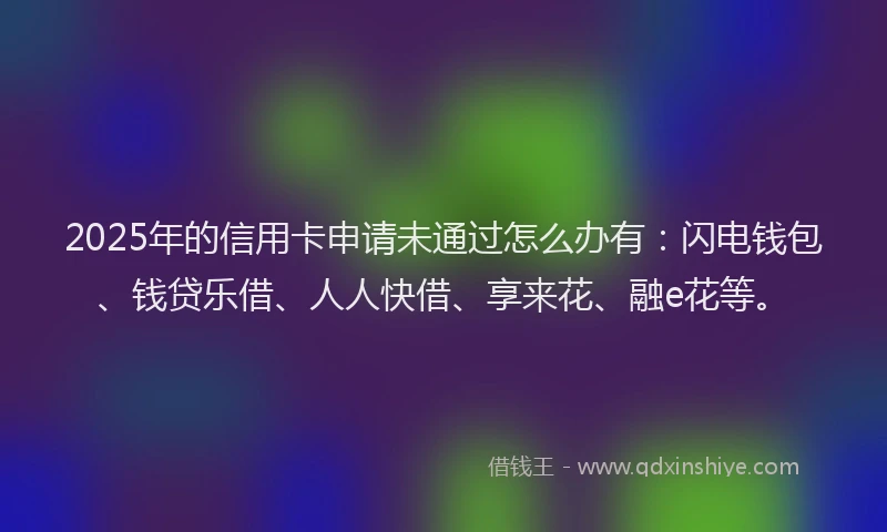 2025年的信用卡申请未通过怎么办有：闪电钱包、钱贷乐借、人人快借、享来花、融e花等。
