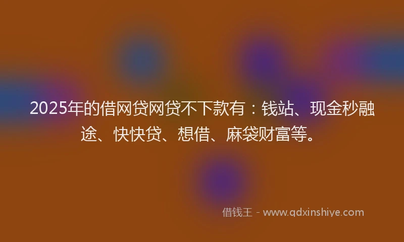 2025年的借网贷网贷不下款有：钱站、现金秒融途、快快贷、想借、麻袋财富等。