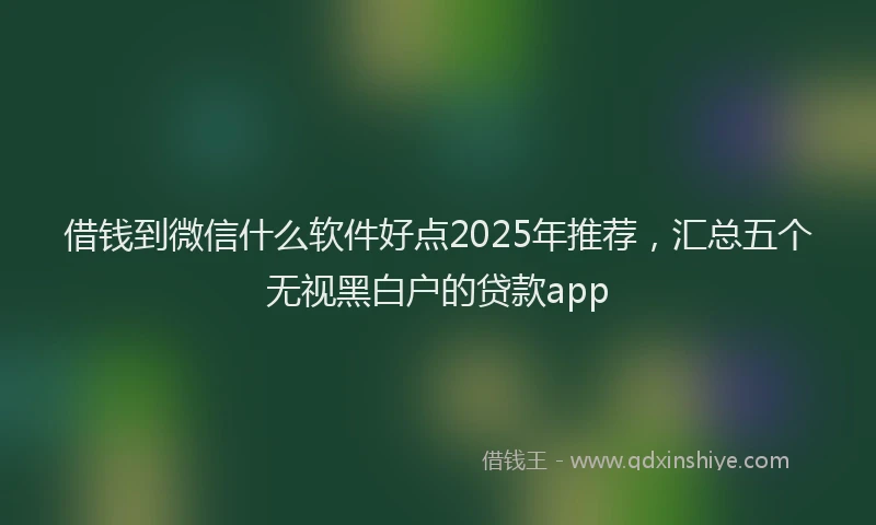 借钱到微信什么软件好点2025年推荐，汇总五个无视黑白户的贷款app