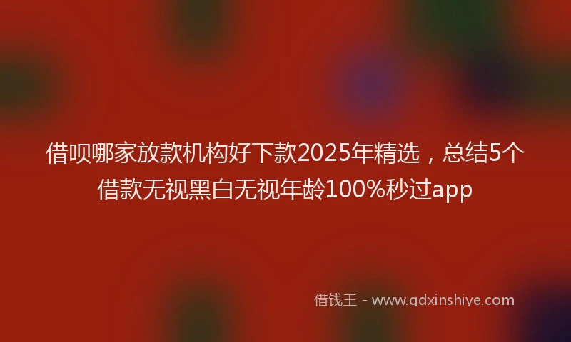 借呗哪家放款机构好下款2025年精选，总结5个借款无视黑白无视年龄100%秒过app