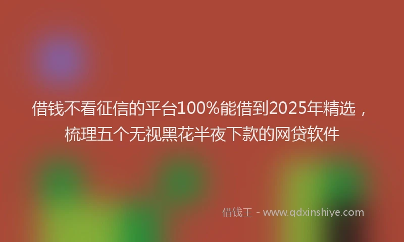 借钱不看征信的平台100%能借到2025年精选，梳理五个无视黑花半夜下款的网贷软件