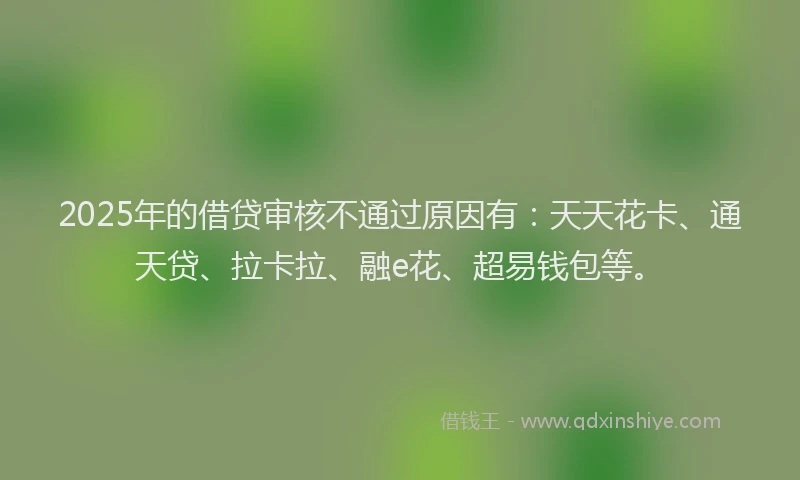 2025年的借贷审核不通过原因有：天天花卡、通天贷、拉卡拉、融e花、超易钱包等。