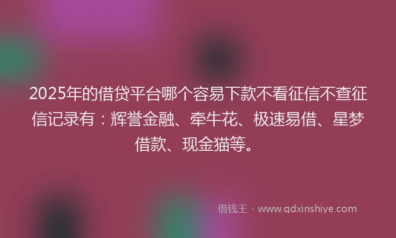 2025年的借贷平台哪个容易下款不看征信不查征信记录有：辉誉金融、牵牛花、极速易借、星梦借款、现金猫等。