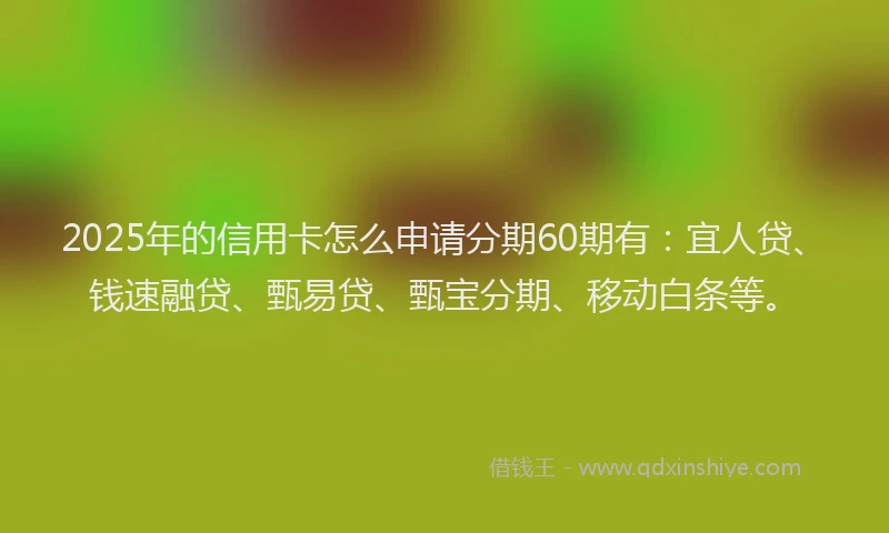 2025年的信用卡怎么申请分期60期有：宜人贷、钱速融贷、甄易贷、甄宝分期、移动白条等。