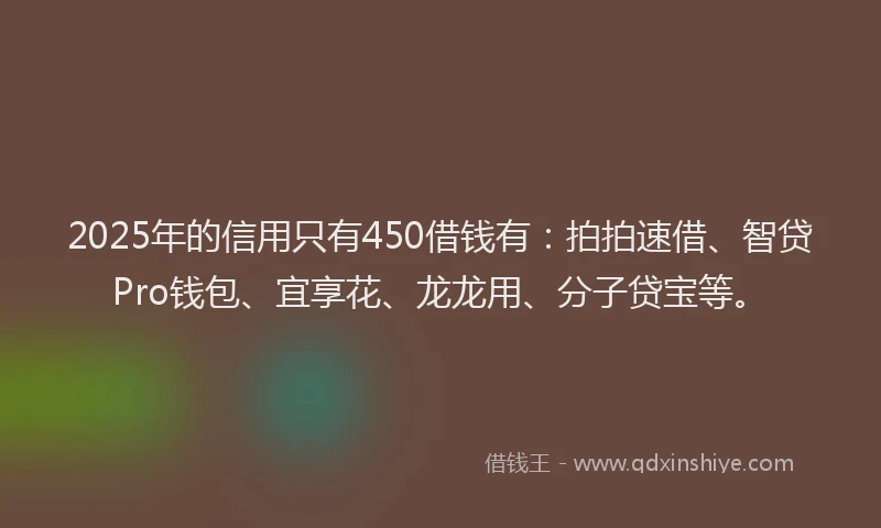 2025年的信用只有450借钱有：拍拍速借、智贷Pro钱包、宜享花、龙龙用、分子贷宝等。
