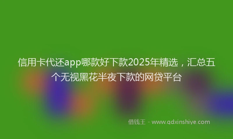 信用卡代还app哪款好下款2025年精选，汇总五个无视黑花半夜下款的网贷平台