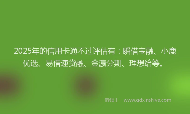 2025年的信用卡通不过评估有：瞬借宝融、小鹿优选、易借速贷融、金瀛分期、理想给等。