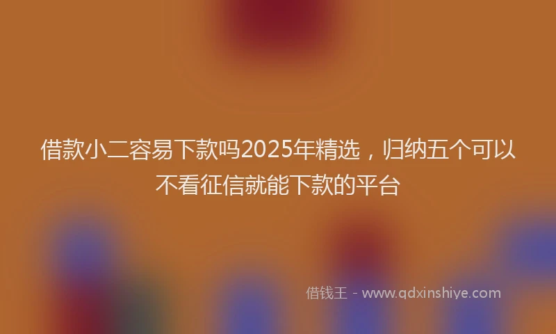 借款小二容易下款吗2025年精选，归纳五个可以不看征信就能下款的平台