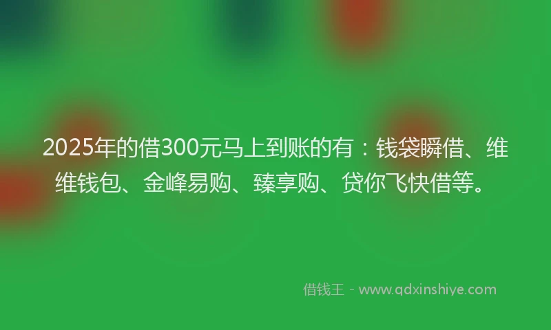 2025年的借300元马上到账的有：钱袋瞬借、维维钱包、金峰易购、臻享购、贷你飞快借等。