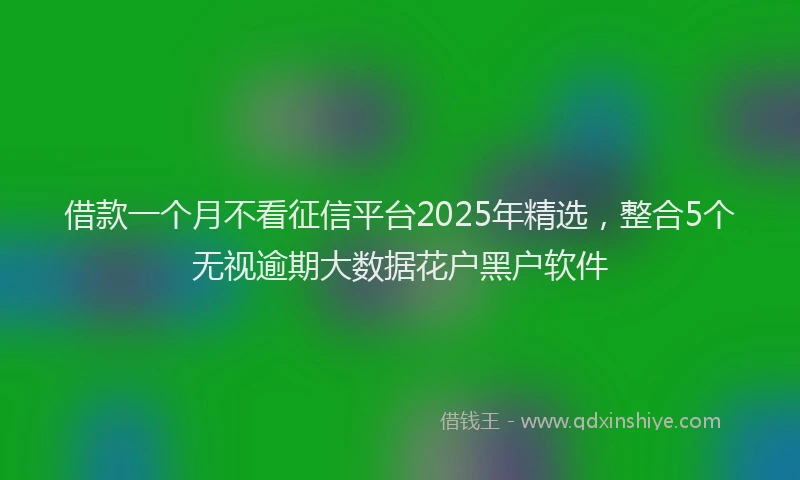 借款一个月不看征信平台2025年精选，整合5个无视逾期大数据花户黑户软件