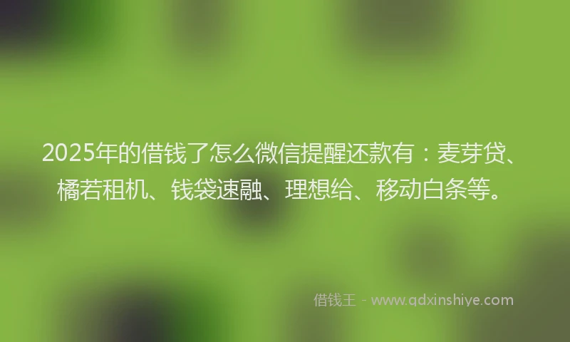 2025年的借钱了怎么微信提醒还款有：麦芽贷、橘若租机、钱袋速融、理想给、移动白条等。
