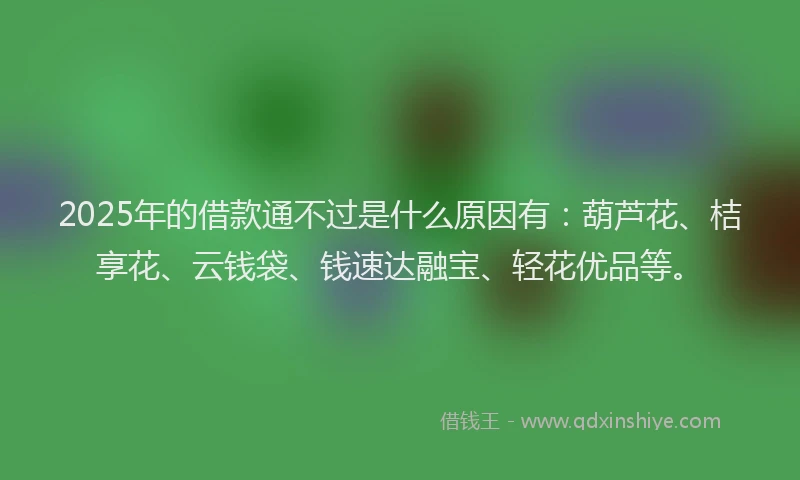 2025年的借款通不过是什么原因有：葫芦花、桔享花、云钱袋、钱速达融宝、轻花优品等。