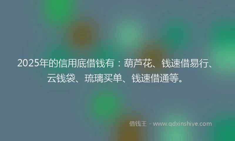 2025年的信用底借钱有：葫芦花、钱速借易行、云钱袋、琉璃买单、钱速借通等。