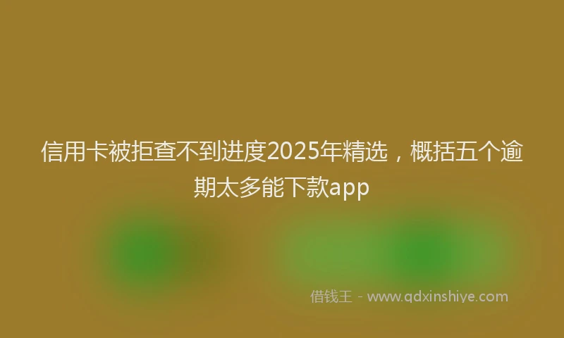 信用卡被拒查不到进度2025年精选，概括五个逾期太多能下款app