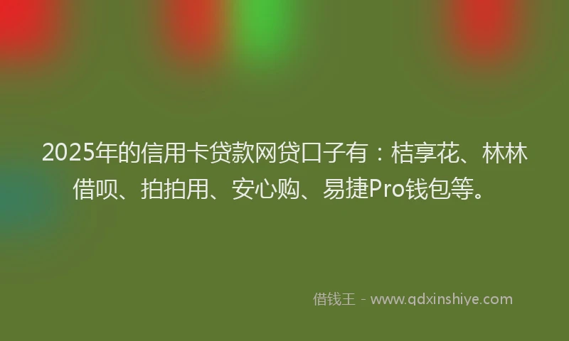 2025年的信用卡贷款网贷口子有：桔享花、林林借呗、拍拍用、安心购、易捷Pro钱包等。