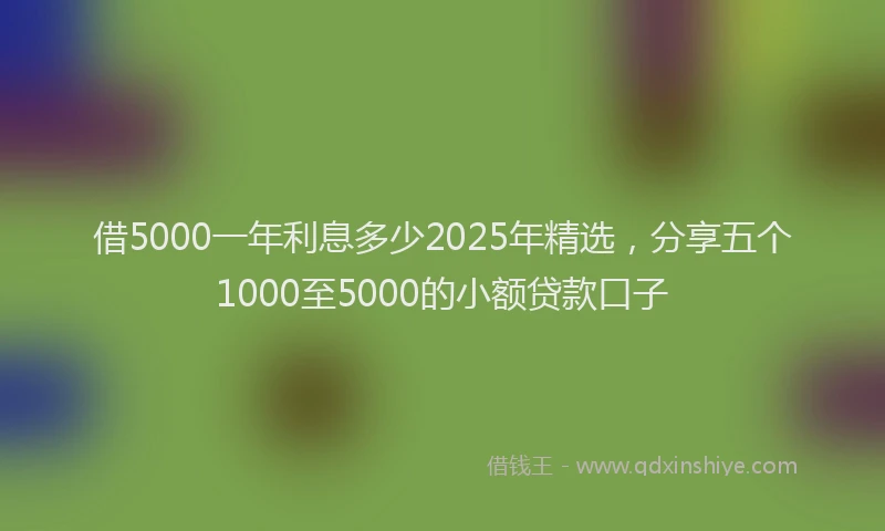 借5000一年利息多少2025年精选，分享五个1000至5000的小额贷款口子