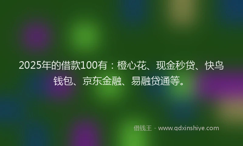 2025年的借款100有：橙心花、现金秒贷、快鸟钱包、京东金融、易融贷通等。