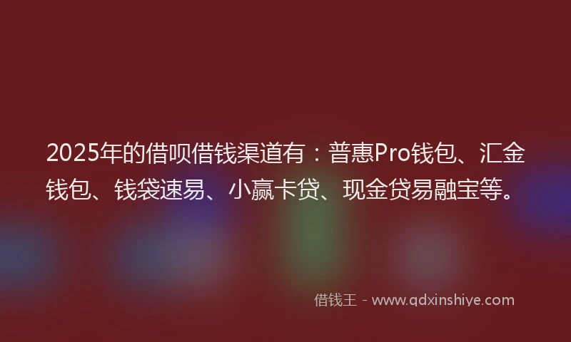 2025年的借呗借钱渠道有：普惠Pro钱包、汇金钱包、钱袋速易、小赢卡贷、现金贷易融宝等。