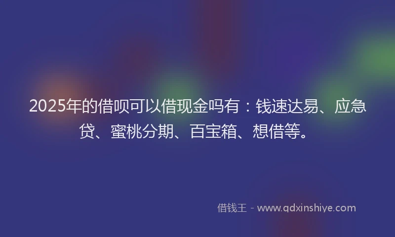 2025年的借呗可以借现金吗有：钱速达易、应急贷、蜜桃分期、百宝箱、想借等。