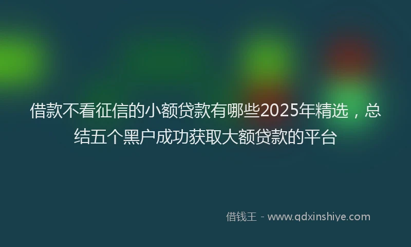 借款不看征信的小额贷款有哪些2025年精选，总结五个黑户成功获取大额贷款的平台