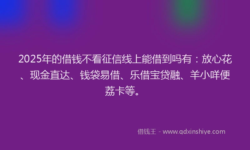 2025年的借钱不看征信线上能借到吗有：放心花、现金直达、钱袋易借、乐借宝贷融、羊小咩便荔卡等。