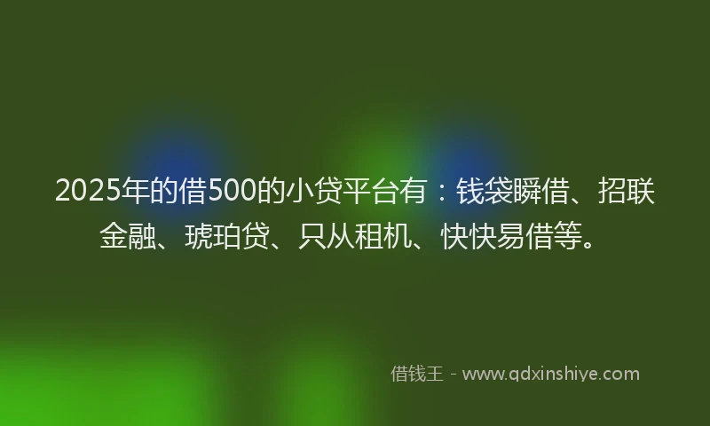 2025年的借500的小贷平台有：钱袋瞬借、招联金融、琥珀贷、只从租机、快快易借等。