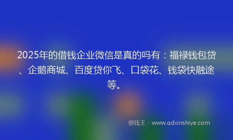 2025年的借钱企业微信是真的吗有：福禄钱包贷、企鹅商城、百度贷你飞、口袋花、钱袋快融途等。