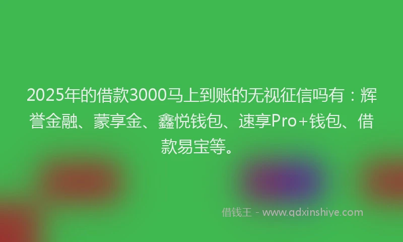 2025年的借款3000马上到账的无视征信吗有：辉誉金融、蒙享金、鑫悦钱包、速享Pro+钱包、借款易宝等。