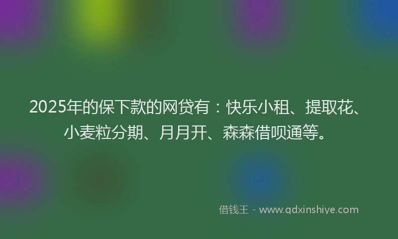 2025年的保下款的网贷有：快乐小租、提取花、小麦粒分期、月月开、森森借呗通等。