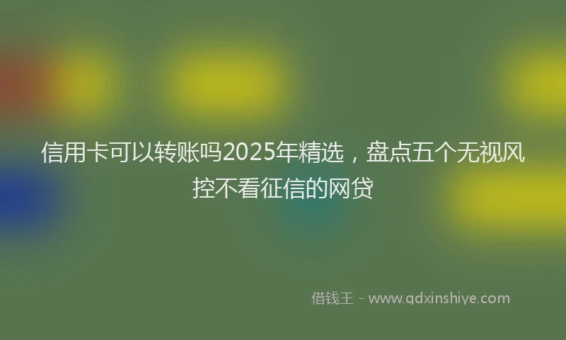 信用卡可以转账吗2025年精选，盘点五个无视风控不看征信的网贷