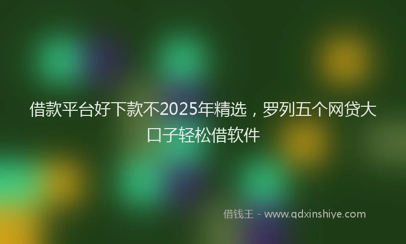 借款平台好下款不2025年精选，罗列五个网贷大口子轻松借软件