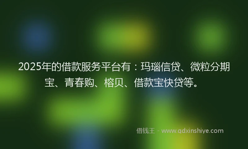 2025年的借款服务平台有：玛瑙信贷、微粒分期宝、青春购、榕贝、借款宝快贷等。