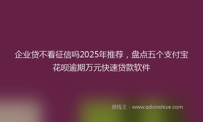 企业贷不看征信吗2025年推荐，盘点五个支付宝花呗逾期万元快速贷款软件