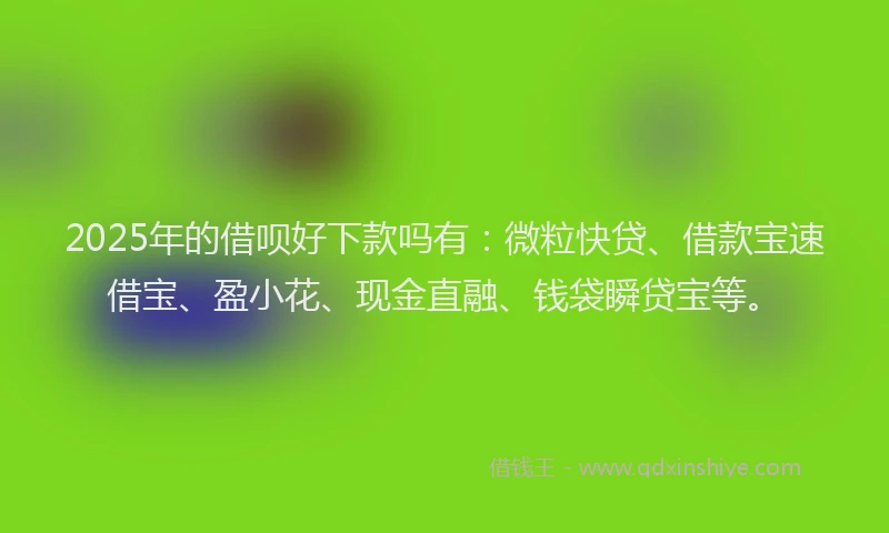 2025年的借呗好下款吗有：微粒快贷、借款宝速借宝、盈小花、现金直融、钱袋瞬贷宝等。